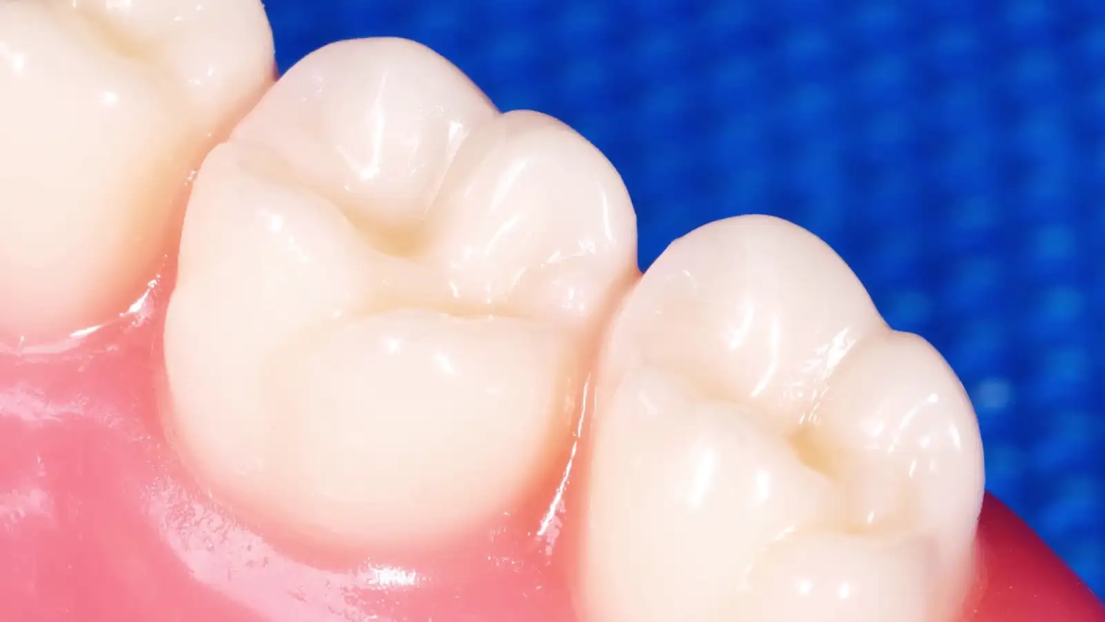 Os 5 Nomes dos Dentes que Todo Pai Precisa Ensinar Hoje
