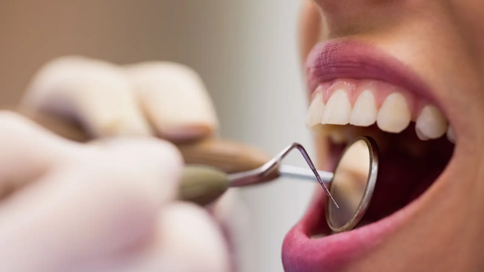 Os 5 Nomes dos Dentes que Todo Pai Precisa Ensinar Hoje